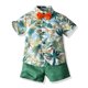 thumbnail image 1 of Conjunto de atuendo JunNeng para bebé niño hawaiano tropical de 4 a 5 años, 1 of 6