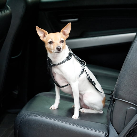 K&H Travel Safety Harness
