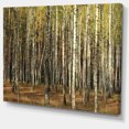 thumbnail image 2 of Forêt d'Automne Verte avec Arbres Épais - Impression sur Toile, 2 of 4