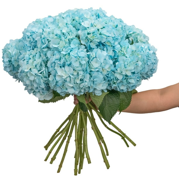 ☆hydrangea☆さま 専用です Member's Mark Color Enhanced Hydrangeas, 20 stems (choose