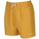 thumbnail image 1 of Regatta - Bañador de largura media modelo Mawson para hombre (Oro Viejo), 1 of 1