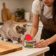 thumbnail image 4 of Abrelatas para gatos: gadget con forma graciosa, abrelatas para uso doméstico, interior, exterior y cocina, para uso diario, 4 of 4