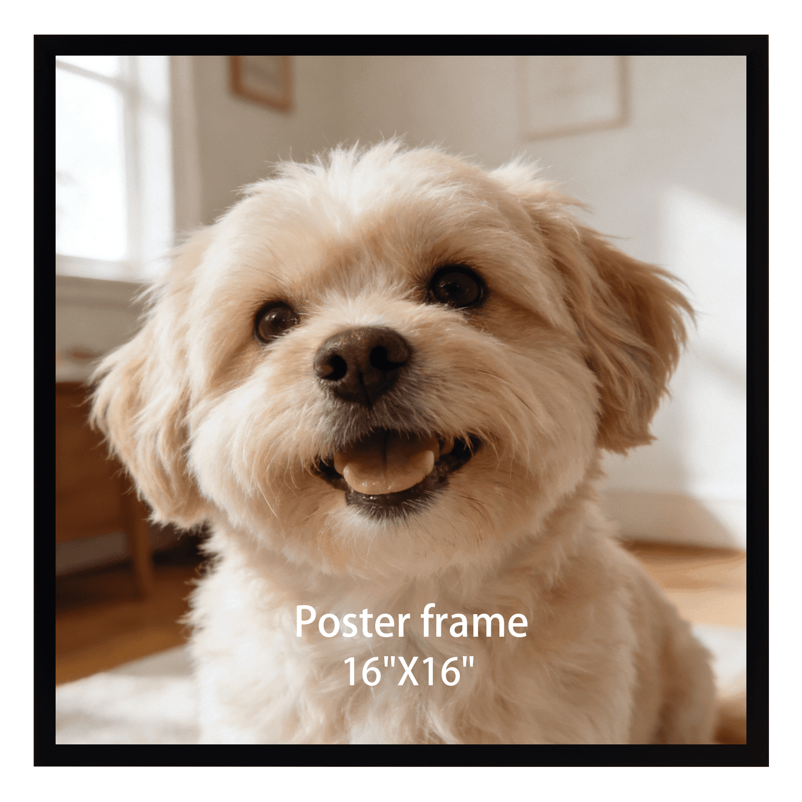 Black 16x16 Poster Frame for Wall Display