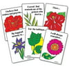 Memory Garden: Bereavement Healing Card Game (Grief and Loss Card Game)