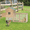 Yellow, variant on Gaildon Large Removable Chicken Coop for 4-5 Chickens ,with 2 Story Poultry Cage,Nesting Box,Pull Out Trays, Brown