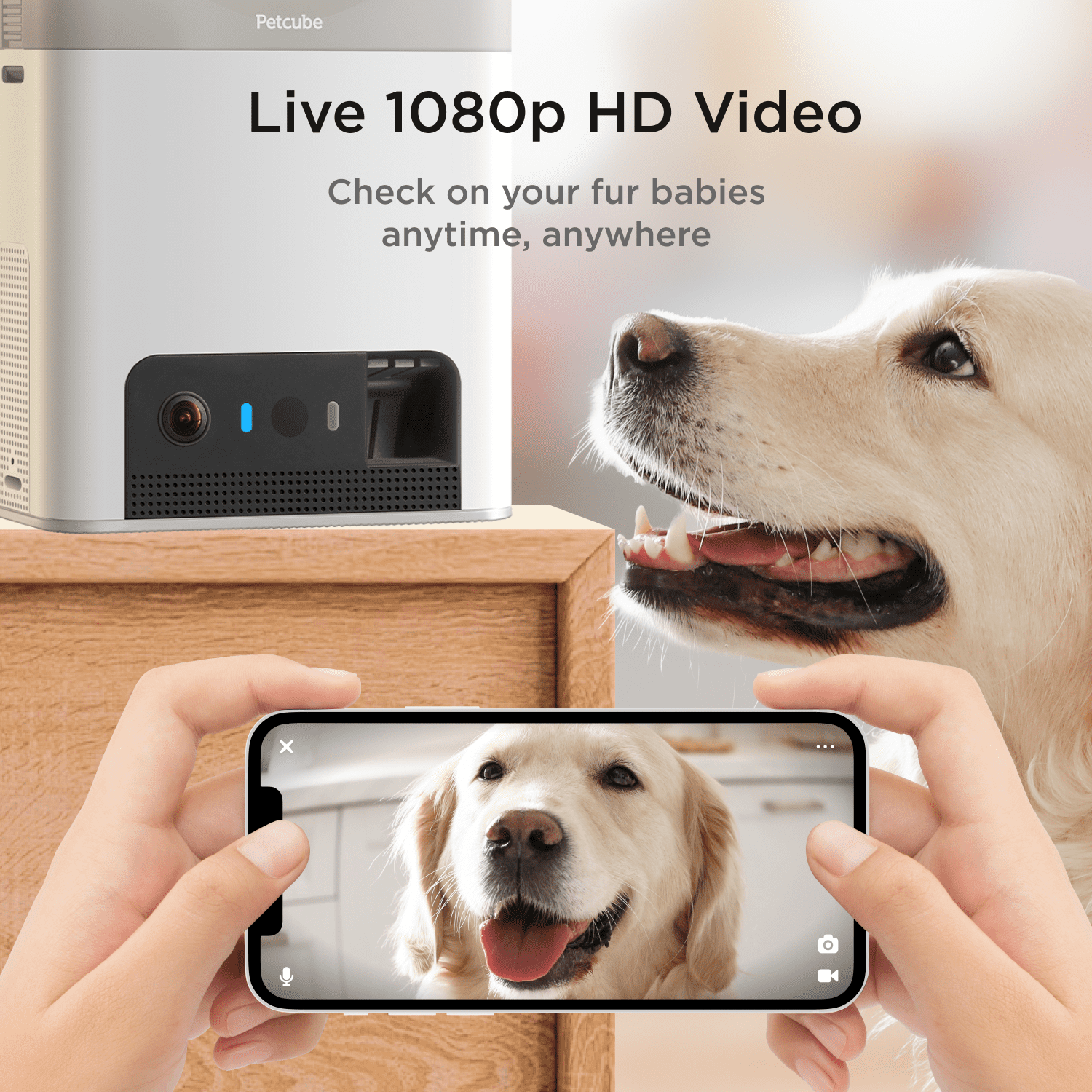 Petcube Bites 2 Lite WiFi Pet Camera with Treat Dispenser, 1080p HD Video, Two-Way Audio, Night Vision, Motion & Sound Alerts, Dog & Cat Monitor with App