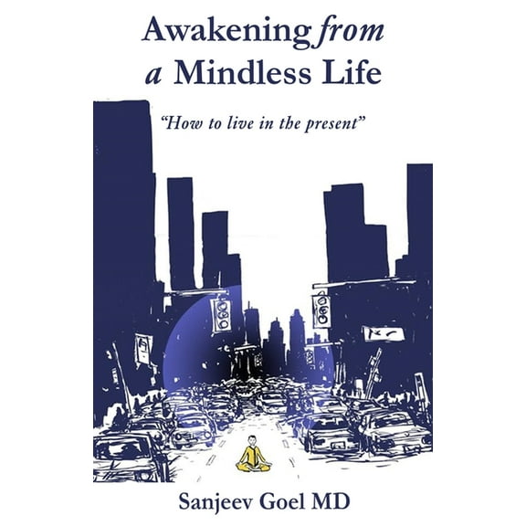 Awakening from a Mindless Life: How to Live in the Present Age (Paperback)
