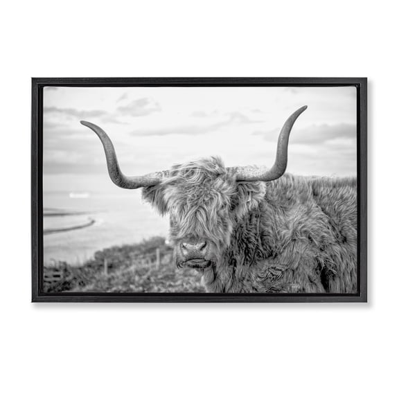 Stupell Industries Farmhouse Traditional Fuzzy Cattle Black Floating Frame Canvas Art, 25 x 17, by Jasper Huish