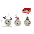 thumbnail image 4 of Lot De 12 Décorations Rondes À Led (Assortiment), 4 of 5