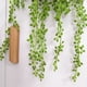 thumbnail image 4 of Decoración de pared realista de 75 cm de largo para el hogar y el jardín. Cadena de perlas falsas colgantes con suculentas, 4 of 8