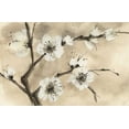thumbnail image 2 of Paschke, Chris 14x11 Black Ornate Wood Framed with Double Matting Museum Art Print Titled - Spring Blossoms IV, 2 of 4