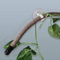 thumbnail image 4 of Enredaderas y hojas flexibles para reptiles 8FT Coolrunner, 4 of 7