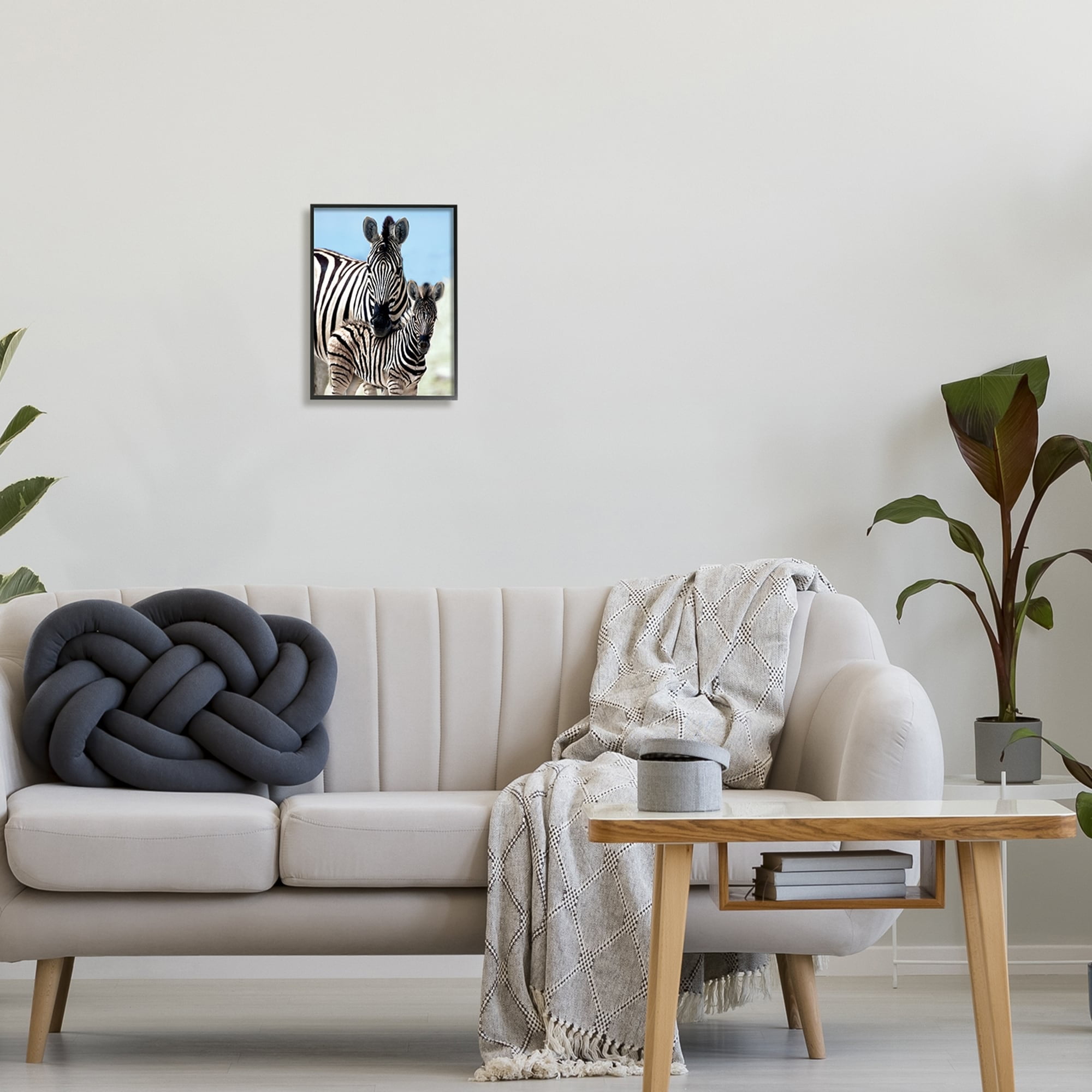 Stupell Industries Uplifting Zebra Family Mother Child Savanna Animals Photograph White Framed Art Print Wall Art, Design by Danita Delimont