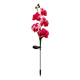 thumbnail image 1 of Paquete de 2 luces de orquídeas con energía solar, para decoración de caminos de césped, patio, villa, 1 of 5