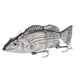 thumbnail image 1 of Señuelo De Pesca Electrónico, Señuelo De Pesca De Natación Robótica, Ganchos Fuertes Recargables Por USB Con Luz LED Para Agua Salada, 1 of 7