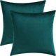 thumbnail image 1 of ZHAOCHENG Fundas de almohada decorativas, fundas de cojín de terciopelo, fundas de almohada sólidas para almohadas de sofá y cama, amarillo mostaza, 20 x 20 pulgadas, juego de 2 18 * 18 pulgadas 2 pie, 1 of 1