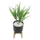 thumbnail image 2 of PLANTA DECORATIVA ARTIFICIAL ZENSE ELÓN NEGRO, 2 of 4