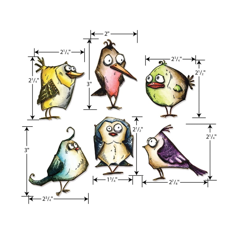 Sizzix Framelits Dies - Bird Crazy by Tim Holtz - Walmart.com