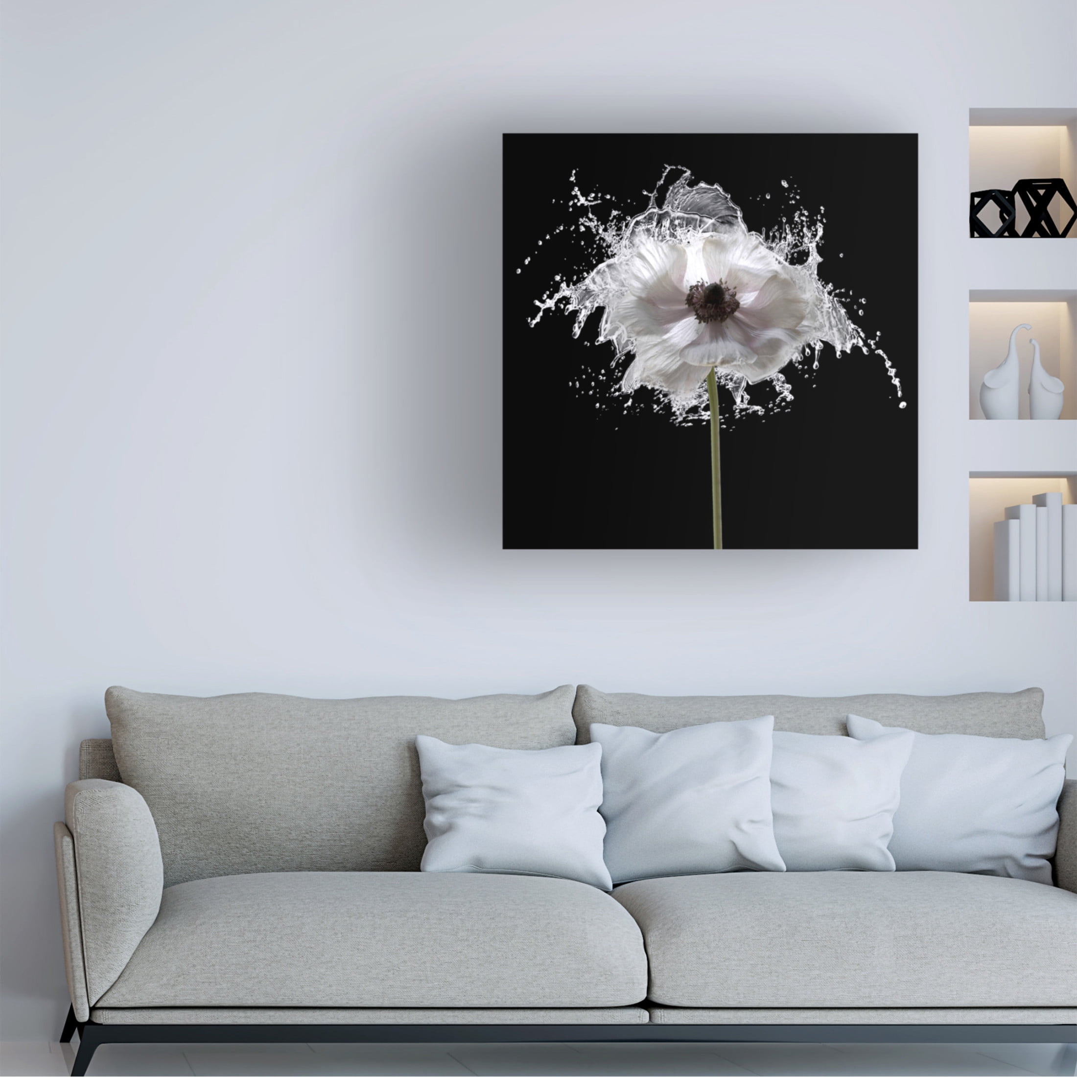 Canvas Wall Art - Tom Quartermaine 'Splash Floral' Wall Art for Living Room, Bedroom, or Office Décor by Trademark Fine Art - 24 x 24 Inches