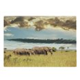 thumbnail image 1 of Safari Cutting Board, Big Savannah Family with Dark Cloudy Dramatical Sky Grassland, Decorative Tempered Glass Cutting and Serving Board, Large Size, Grey Yellow Blue, by Ambesonne, 1 of 1