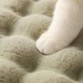 thumbnail image 4 of Pet Mat, Ultra Soft Plush Fuzzy, 1 Piece Bubble Texture Light Sage Cozy Pad, Warm Comfortable Sleeping Cushion for Dogs Cats Small Medium Pets Indoor Couch Floor Crate Bed Rest Use, 4 of 6