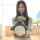 thumbnail image 3 of 30CM Totoro juguetes de peluche Animal suave relleno Totoro almohada Sincero Electrónica, 3 of 5
