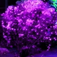 thumbnail image 5 of Morttic Christmas Lights, LED Christmas Net Lights Outdoor, Waterproof Christmas Net Lights, 200 LED 9.8 FT x 6.6 FT 8 Modes Plug in, Decor for Bushes Garden Party Xmas Tree (Purple), 5 of 7
