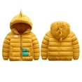 thumbnail image 5 of Baby Girl Puffer Jacket Kids Toddler Boys Cartoon Winter Coats Dinosaur Snowsuit 1-6T, 5 of 6