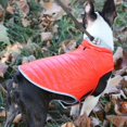 thumbnail image 4 of Reflective Waterproof Windproof Dog Coat Cold Weather Warm Dog Jacket Reversible Winter Down Dog Vest Clothes for Small Medium Large Dogs Christmas, 4 of 7