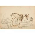 thumbnail image 3 of Jacques-Raymond Brascassat 14x11 Black Modern Framed Museum Art Print Titled - Gasting (1834), 3 of 5