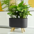thumbnail image 3 of Travelwant Self Watering Planter with Water Level Indicator, Window Gardening Box, Decorative Planter Pot for All House Plants Flowers Herbs, Modern Decorative Planter Pot, 3 of 7