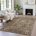 thumbnail image 6 of Dalyn Rugs Machine Washable Indoor/Outdoor Chantille ACN2047 Brown 2'6" x 3'10" Rug, 6 of 9