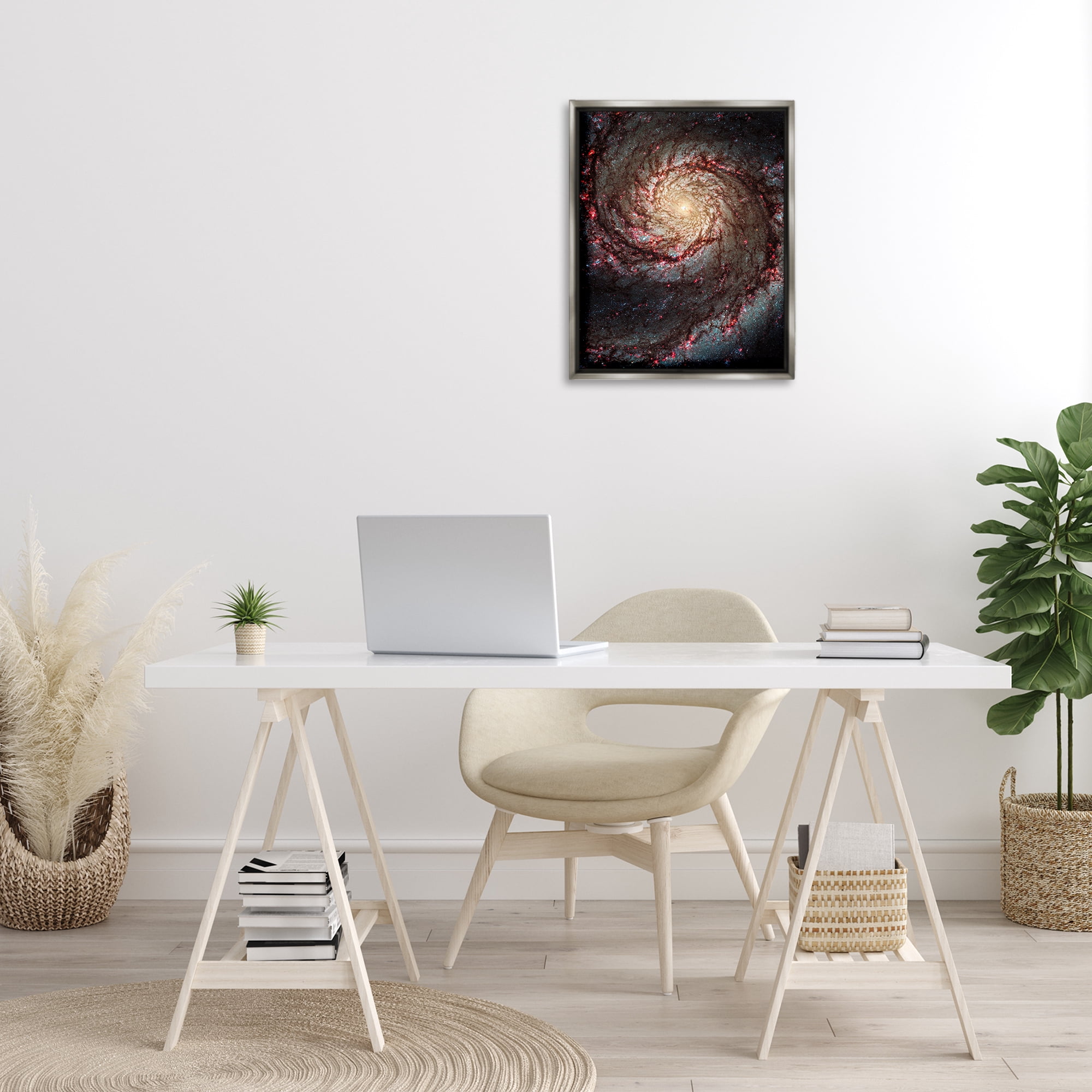 Stupell Industries Great Beyond Nebula Animals & Insects Photography Gray Floater Framed Art Print Wall Art, 17 x 21