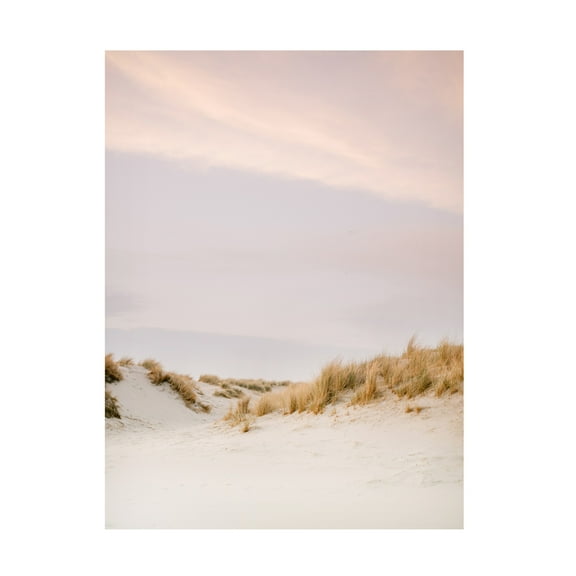 Trademark Fine Art Raisa Zwart Ameland Dunes 3 Canvas Wall Art
