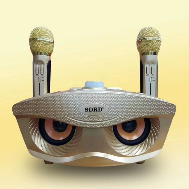 SD306 double microphone sans fil haut-parleur Bluetooth haut-parleur  karaoké sans fil mobile ensemble de haut-parleurs stéréo sans fil or 