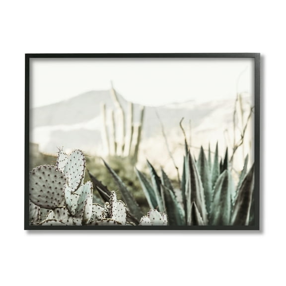 Stupell Industries Desert Cacti Photography Landscape Photography Black Framed Art Print Wall Art, 14 x 11