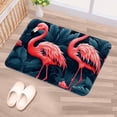 thumbnail image 5 of Flamingo Non-Slip Polyester Indoor Office Rugs Area Rug Machine Washable Floor Mat, 5 of 6