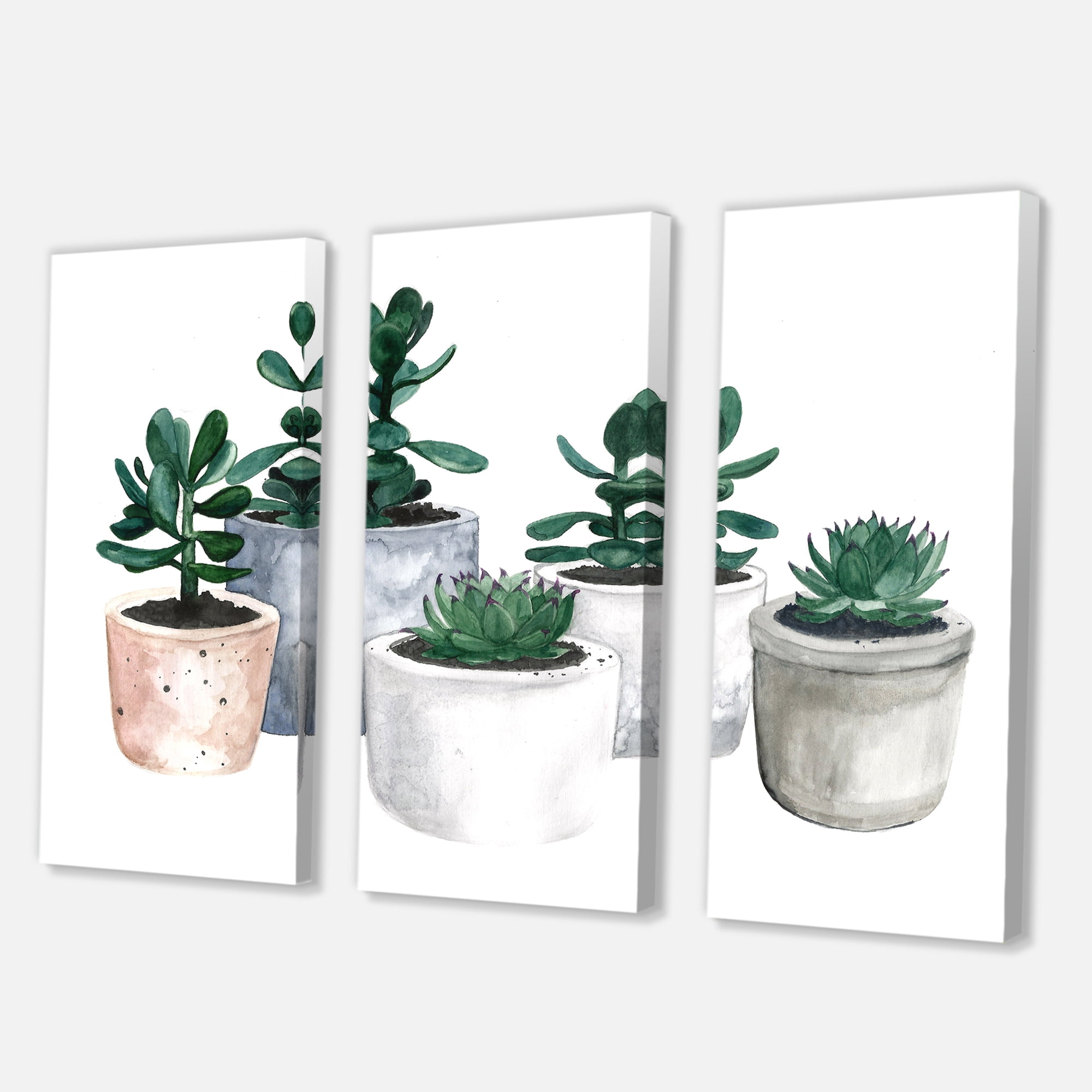 Designart ' Succulent and Cactus House Plants VI ' Farmhouse Canvas Wall Art Print