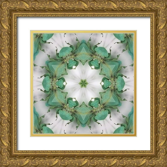 Studio Nine6 26x26 Gold Ornate Wood Framed with Double Matting Museum Art Print Titled - Critters F