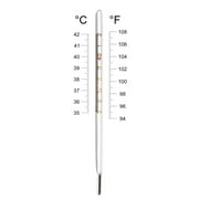 Glass Thermometer Triangular Bar Oral Thermometer For Adult(Blue)