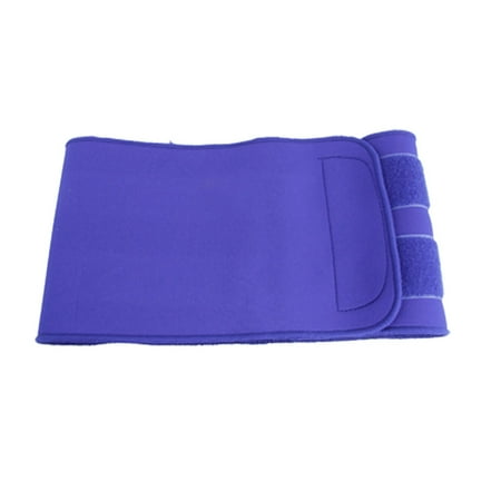 Blue Hook and Loop Sports Back Brace Waist Wrap Support | Walmart Canada