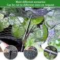 thumbnail image 6 of 8 X 100 Ft Garden Netting, 5/8in Mesh Heavy Duty Bird Netting for Vegetable, Fruit Trees, Blueberry Bush Protection, Reusable Poultry Netting Against Birds, Deer, Rabbit and Cat, Chicken Coop Net, 6 of 7