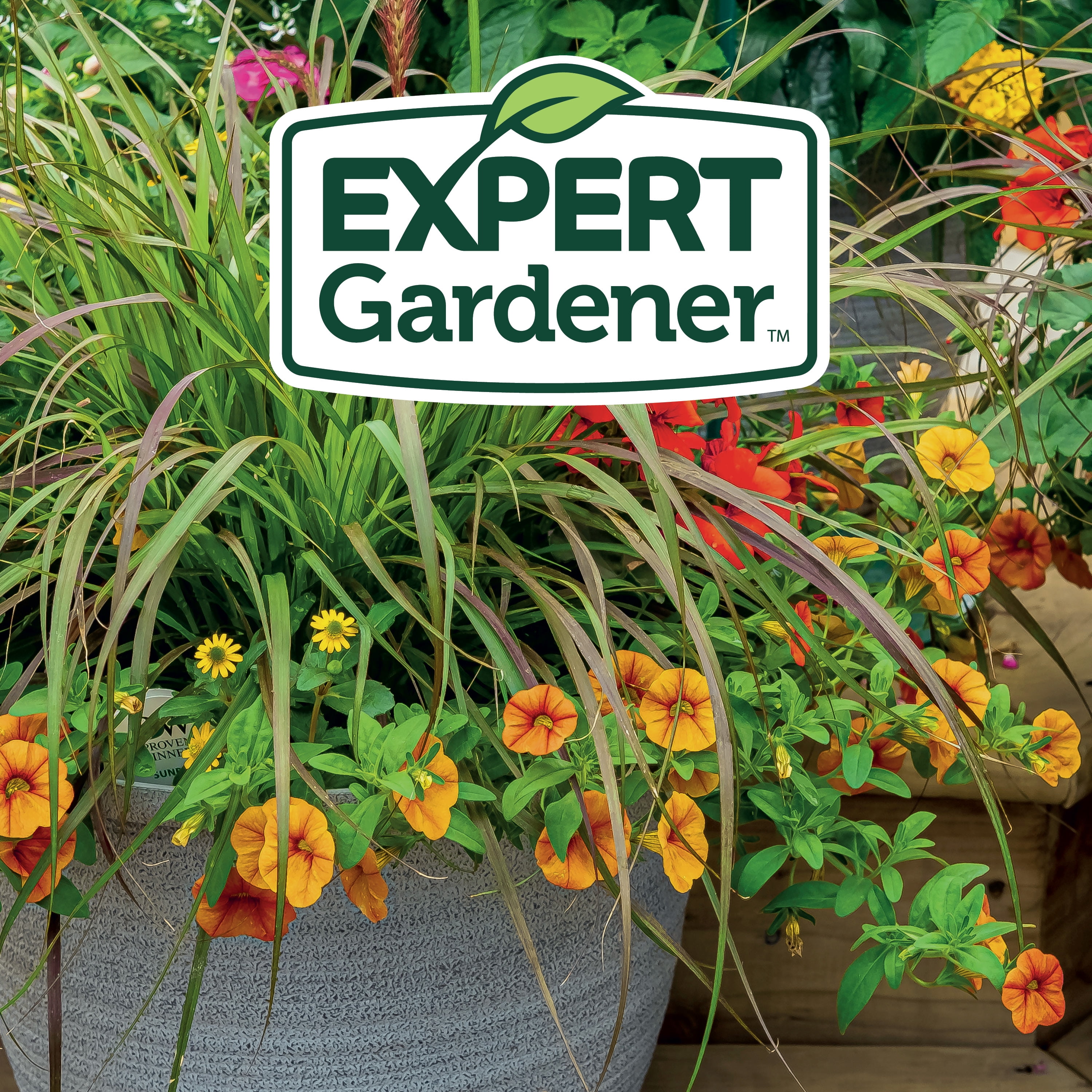 Expert Gardener Potting Mix for Potted Plants, Fertilizer, 2 cu. ft.,  Succulents, Cactus, Container Drainage - Walmart.com
