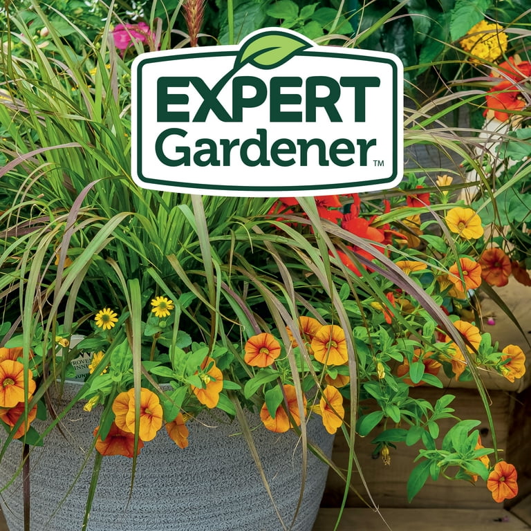 Expert Gardener Potting Mix for Potted Plants, 8 qt