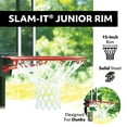 Lifetime New Adjustable Portable Basketball Hoop (44-inch Impact