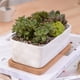 thumbnail image 4 of EeaseMX 2 macetas creativas con bandeja, maceta sencilla para plantas suculentas., 4 of 8