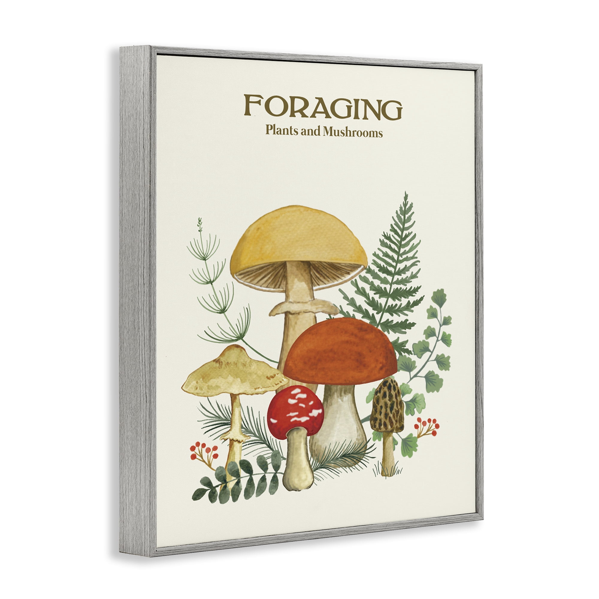 Stupell Industries Vintage Foraging Mushrooms Botanical & Floral Painting Gray Framed Art Print Wall Art, 16 x 20