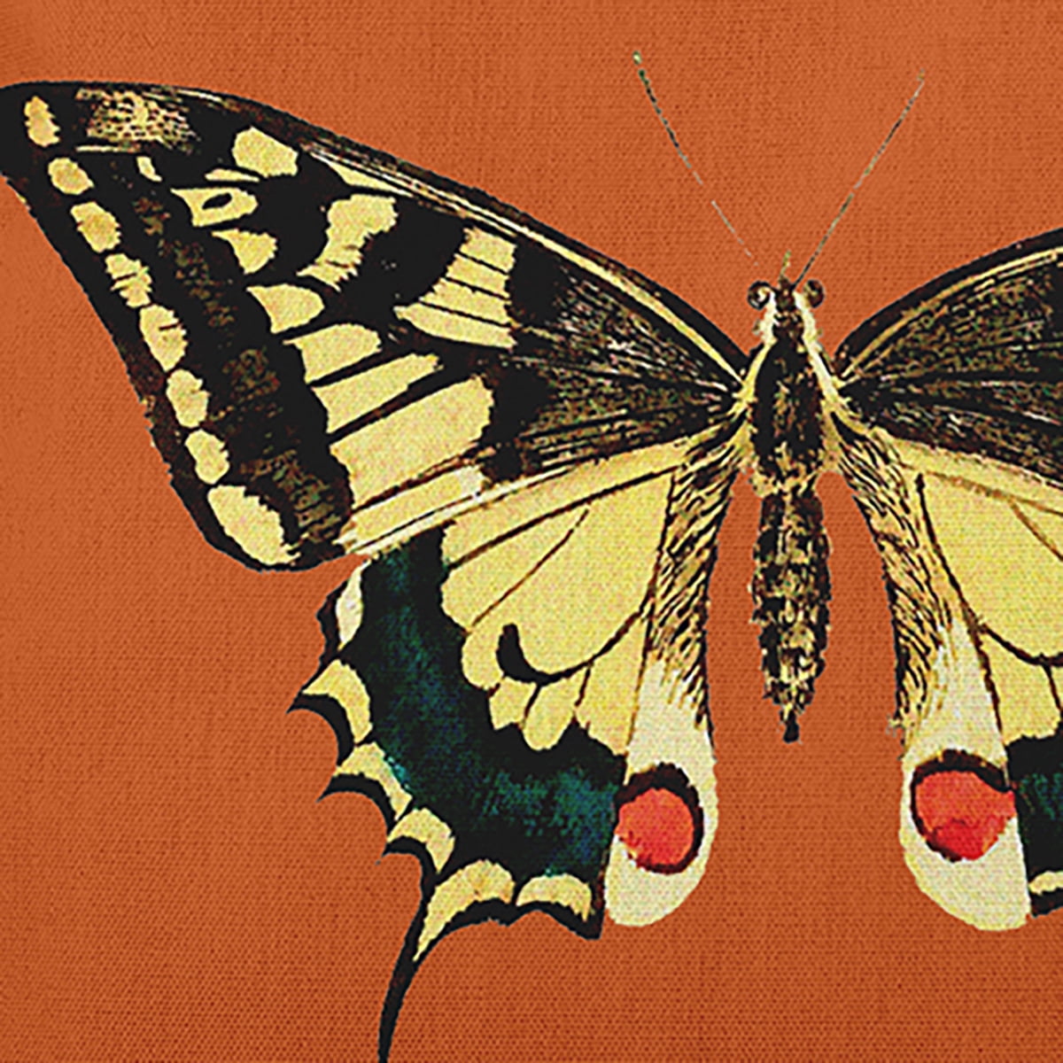 Simply Daisy 20-inch Square Rare Swallowtail Polyester Indoor Pillow, Perfect Orange Qty 1