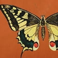 thumbnail image 2 of 20" x 20" Simply Daisy Rare Swallowtail Indoor/Outdoor Pillow, Perfect Orange Qty 1, 2 of 6