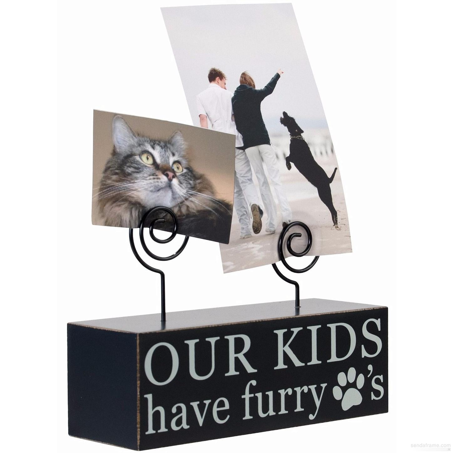 furry paws mobile grooming